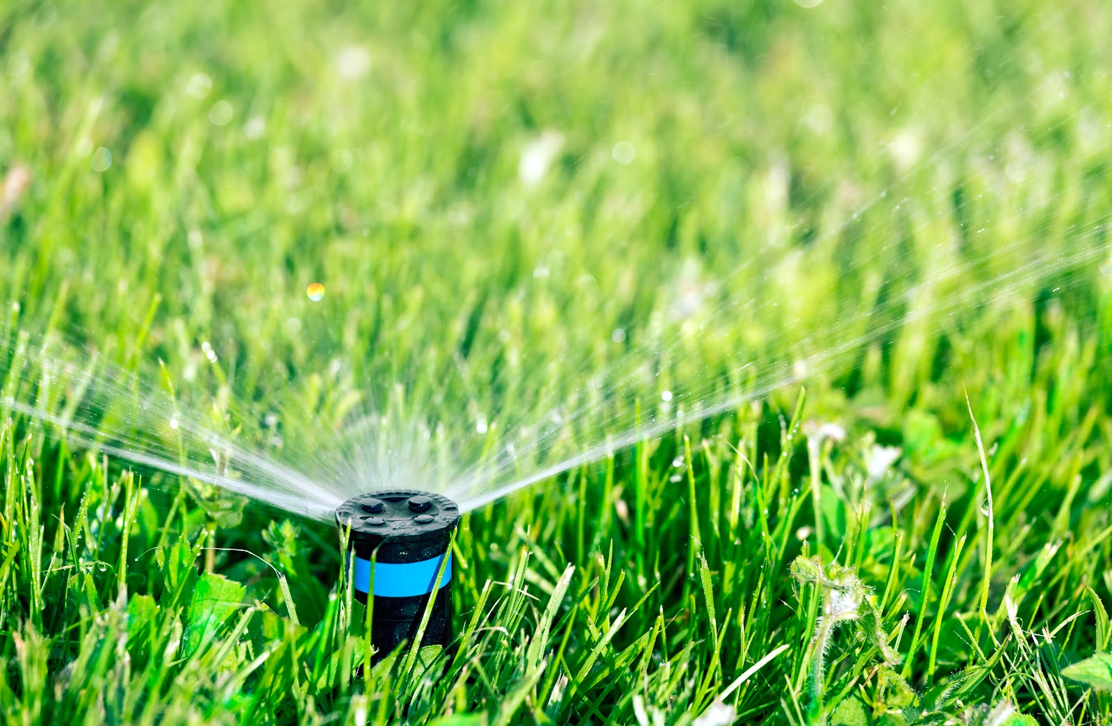 JB Irrigation & Services in Houston