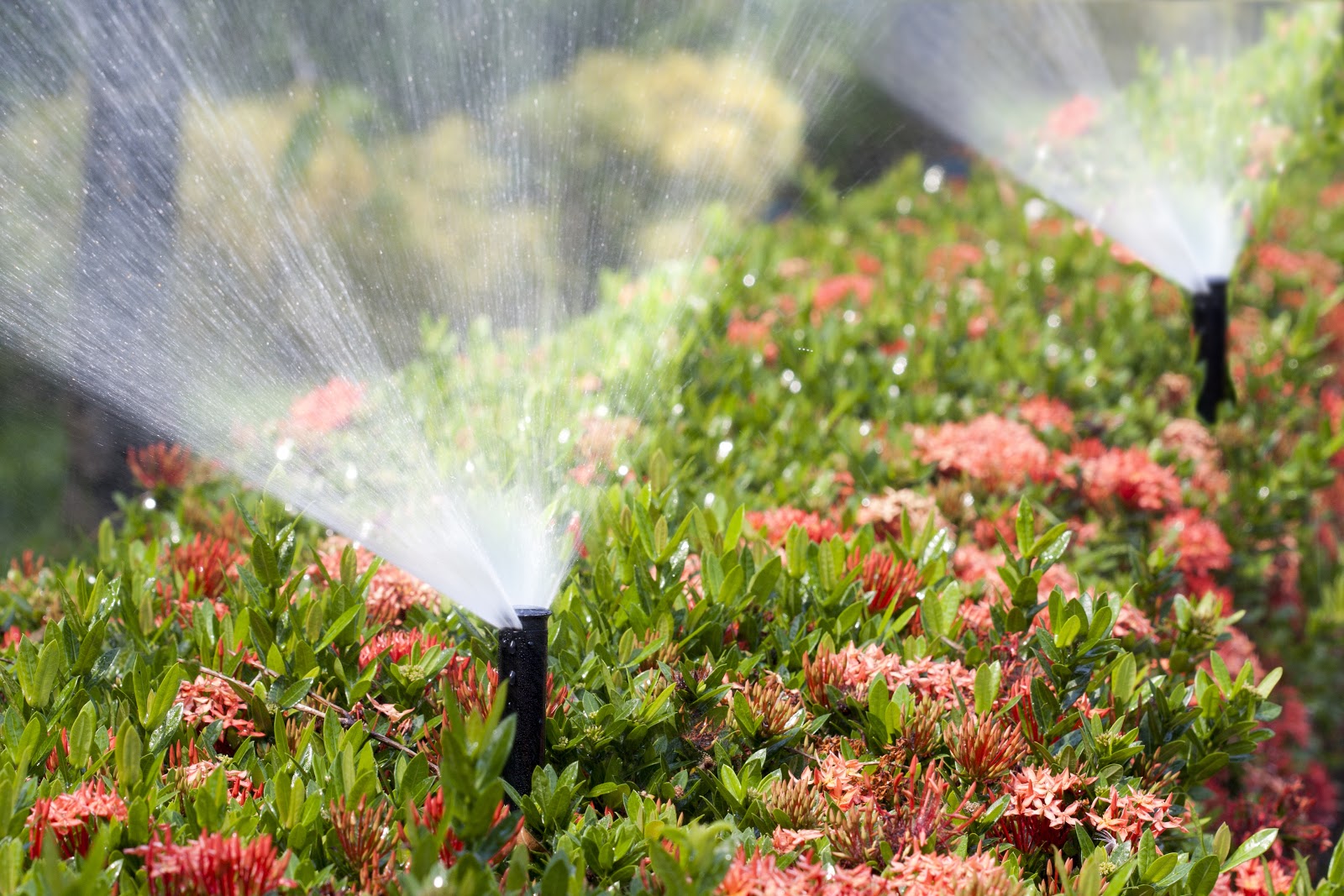 Work by JB Irrigation & Services